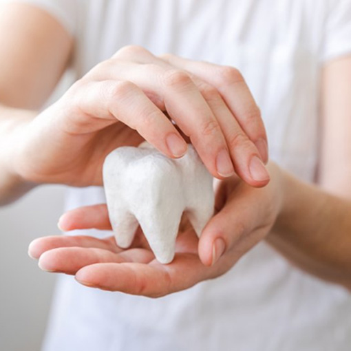 Person holding a giant plaster model of a tooth